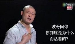 爆料波哥励志视频大全集,激励人生，点亮梦想之路